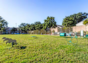 Thumbnail 13 of 26 - Dog Park at The Reserve at City Center North, Texas