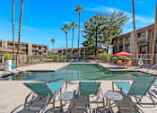 Thumbnail 15 of 27 - Pool with Loungers and Palm Trees at Verde Apartments, Tucson, AZ