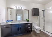 Thumbnail 23 of 25 - Large Bathroom with Cabinetry and Stand Up Shower  at Legacy Brooks, Texas 78223