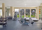 Thumbnail 10 of 17 - A spacious gym with a variety of equipment including treadmills, weights, and exercise machines.