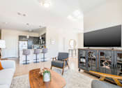Thumbnail 44 of 87 - Living Area With TV at Axis at Lakeshore, Bridgewater, Massachusetts