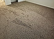 Thumbnail 13 of 18 - Room with carpet and a door to a closet at Hidden Brook Apartment Homes Apartments, New Bedford, Massachusetts