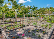 Thumbnail 19 of 28 - A garden with a variety of plants and flowers.