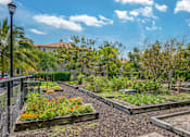 Thumbnail 21 of 28 - A garden with raised beds and a fence.