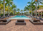 Thumbnail 1 of 28 - A pool surrounded by palm trees and lounge chairs.
