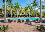 Thumbnail 6 of 28 - A pool surrounded by palm trees and lounge chairs.