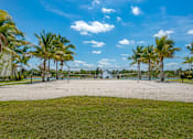 Thumbnail 22 of 28 - A beach with palm trees and a clear sky.