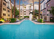 Thumbnail 34 of 85 - A swimming pool surrounded by palm trees and lounge chairs in a residential area.