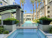 Thumbnail 30 of 72 - A pool surrounded by plants and palm trees.
