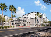 Thumbnail 70 of 72 - A street view of a residential area with apartment buildings and palm trees.