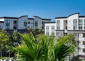 Thumbnail 7 of 72 - A row of modern houses with a palm tree in the foreground.