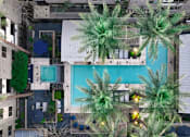 Thumbnail 25 of 72 - A pool surrounded by palm trees and buildings.