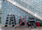 Thumbnail 22 of 72 - A gym with a blue patterned wallpaper and a variety of exercise equipment.
