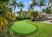 Thumbnail 33 of 38 - A green putting green in the middle of a grassy area with palm trees.