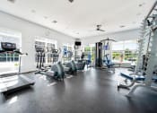 Thumbnail 22 of 49 - the gym at the enclave at woodbridge apartments in sugar land, tx