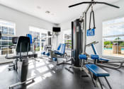 Thumbnail 23 of 49 - the gym at the enclave at woodbridge apartments in sugar land, tx