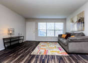 Thumbnail 17 of 42 - a living room with a couch and a rug