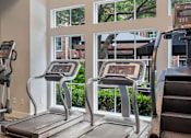 Thumbnail 19 of 40 - a gym with cardio machines and a large window