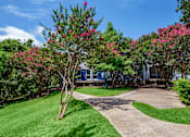 Thumbnail 22 of 42 - a yard with a driveway and a house in the background