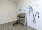 Thumbnail 18 of 34 - A room with a sink and a wall that says "GORGEOUS".