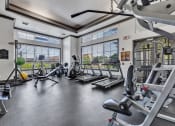 Thumbnail 9 of 14 - a gym with weights and other exercise equipment and windows