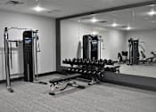 Thumbnail 19 of 39 - A gym with a variety of equipment including a squat rack, bench press, and dumbbells.