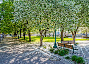 Thumbnail 31 of 39 - A park with benches and trees.