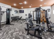 Thumbnail 7 of 37 - a gym with weights and cardio equipment and a tv on the wall