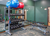 Thumbnail 21 of 37 - A gym with a bench, weights, and exercise balls.