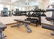 Thumbnail 13 of 22 - Weights in gym at Alta Apartments, Wisconsin 53186