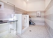 Thumbnail 14 of 22 - Dog Spa at Alta Apartments, Pewaukee, WI 53186