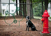 Thumbnail 3 of 14 - Dog park at Emory Woods Apartments, Durham, NC.