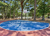 Thumbnail 16 of 51 - Outdoor basketball court surrounded by mature trees at The Palms Apartments, Charleston, 29407