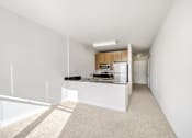 Thumbnail 30 of 64 - A white room with a kitchenette and a carpeted floor.