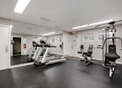 Thumbnail 10 of 17 - A gym with a treadmill, a weight bench and a squat rack.