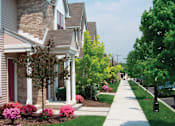 Thumbnail 5 of 5 - A residential street with houses on both sides and a sidewalk in the foreground.