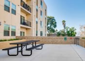 Thumbnail 7 of 10 - BBQ area at Santa Cecilia Apartments with a picnic table and propane grill