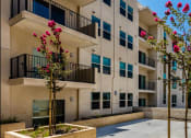 Thumbnail 6 of 10 - BBQ area at Santa Cecilia Apartments with a patio and flowering trees overlooked by apartment balconies and windows