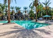 Thumbnail 88 of 105 - A large swimming pool surrounded by palm trees and lounge chairs at Sweetwater At Metro North Apartments, Phoenix, Arizona