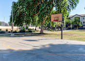 Thumbnail 101 of 105 - A basketball court with a hoop and a tree in the background at Sweetwater At Metro North Apartments, Arizona 85029