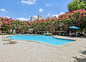 Thumbnail 29 of 39 - A pool surrounded by trees with pink flowers.
