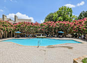 Thumbnail 31 of 39 - A swimming pool surrounded by pink flowering trees.