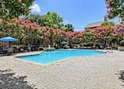 Thumbnail 30 of 39 - A pool surrounded by pink flowering trees.