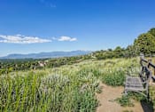 Thumbnail 38 of 41 - A bench overlooks a grassy field with a mountain range in the distance.