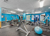 Thumbnail 12 of 27 - A gym with a blue wall and a variety of equipment.