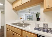 Thumbnail 21 of 41 - Sink With Faucet at University Park Apartments, Florida, 32817