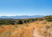 Thumbnail 17 of 17 - Hiking Paths at Heritage at Hidden Creek, Colorado, 80918