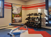 Thumbnail 15 of 37 - Free Weights In Gym at Heritage at the River, New Hampshire, 03102