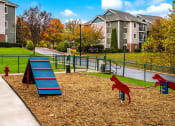 Thumbnail 13 of 21 - Dog Park at Heritage at the Peak, Asheville