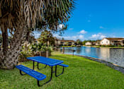 Thumbnail 18 of 22 - Lakeside Picnic Area at Sanford Landing Apartments, Sanford, Florida